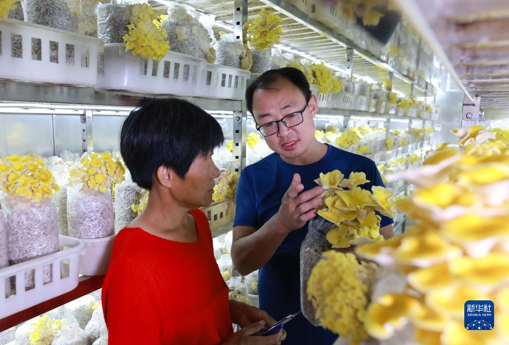 巴黎人网首页